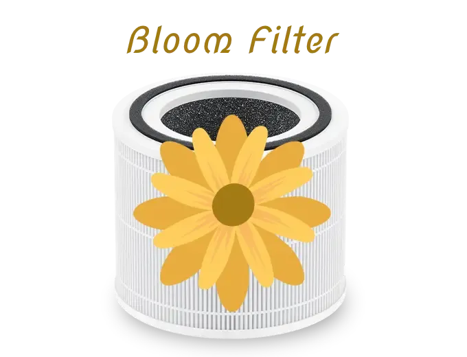 This is exactly what a Bloom Filter is